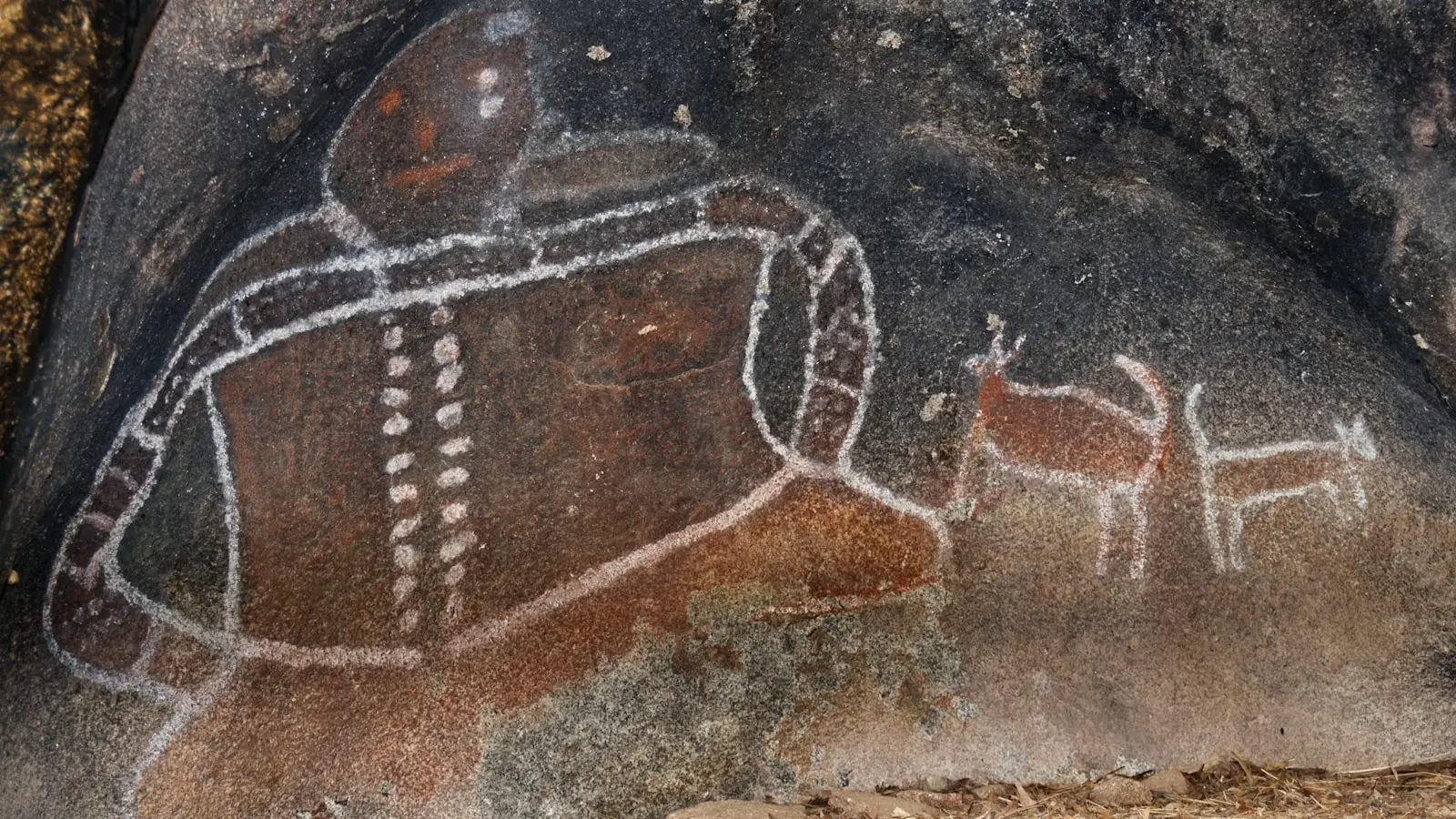 Understanding Aboriginal and Torres Strait Islander Art