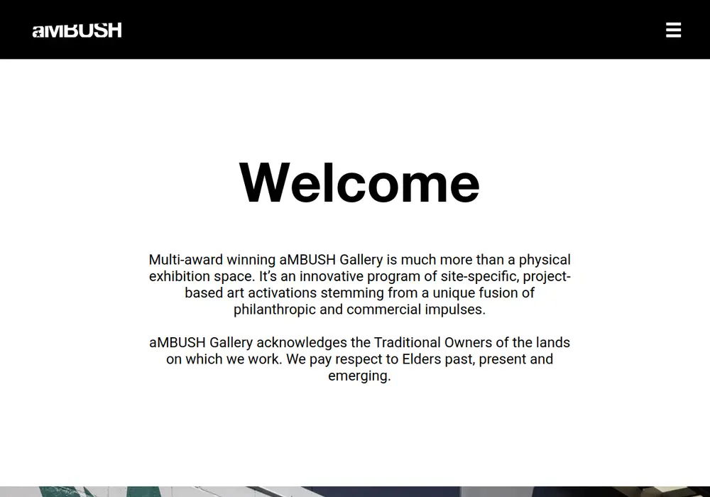 Homepage of aMBUSH Gallery