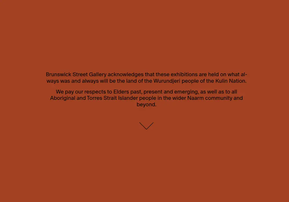 Homepage of Brunswick Street Gallery