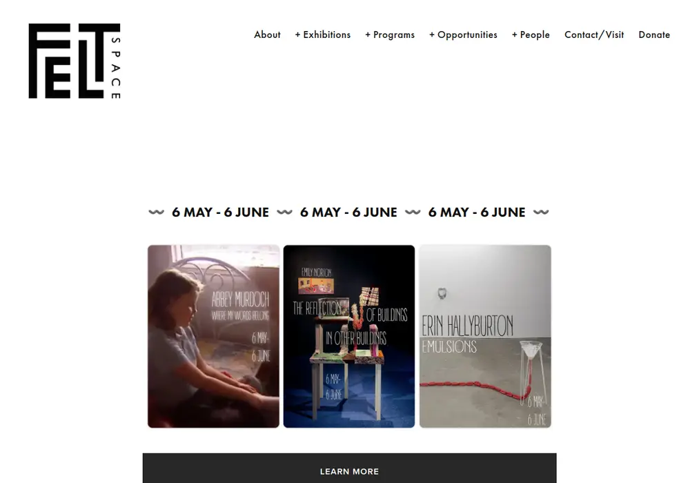 Homepage of FELTspace