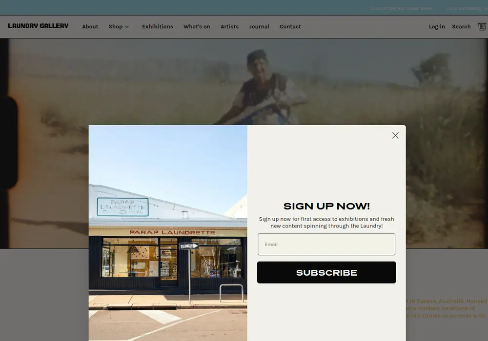 Homepage of Laundry Gallery