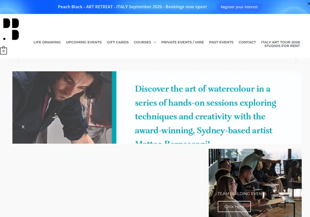 Homepage of Peach Black Gallery