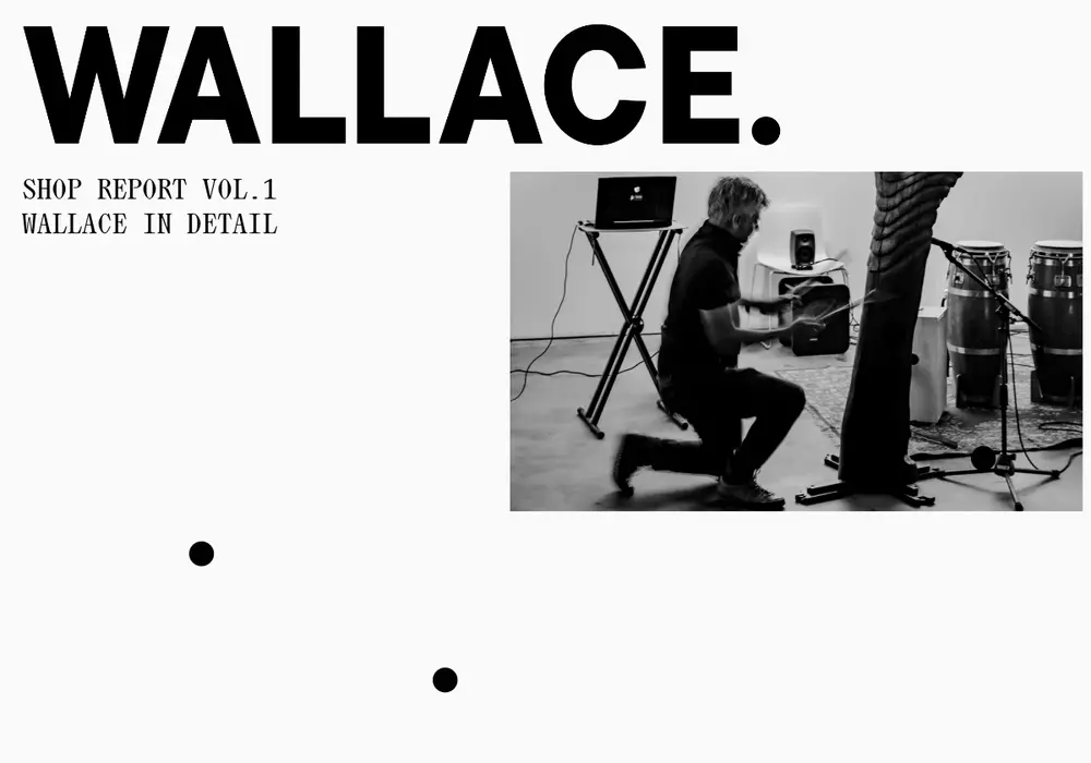 Homepage of Wallace Gallery